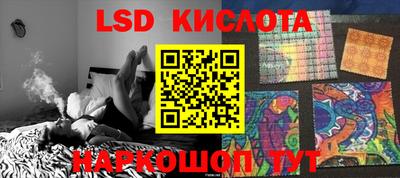 крисы Камышлов