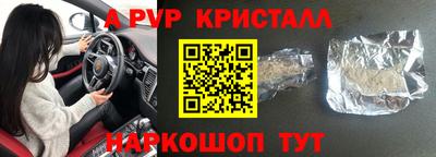 крисы Камышлов