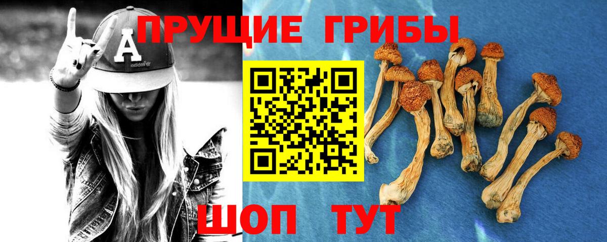 Псилоцибиновые грибы прущие грибы Краснознаменск