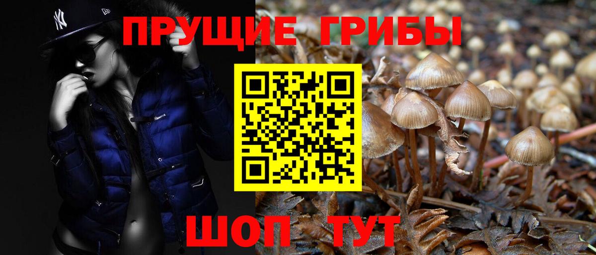Галлюциногенные грибы MAGIC MUSHROOMS  Вход с VPN  Краснознаменск 
